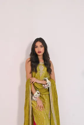 Dhani Tessel